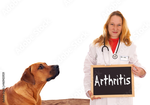 Photo: Tierärztin mit Hund und Schild - Arthritis Tierärztin mit Hund und Schild - Arthritis