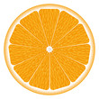 texture of an orange. vector