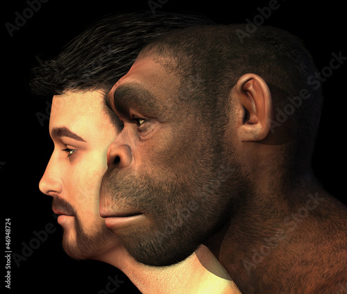 Illustration: Modern Human and Homo Erectus Man Compared Modern Human and Homo Erectus Man Compared