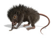 Furry Mutant Rat
