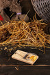 Mousetrap with a piece of cheese in barn on wooden background