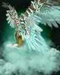 An Angel