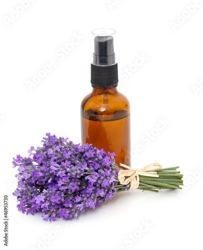 Photo: bottle of lavender oil and bunch of lavender flowers bottle of lavender oil and bunch of lavender flowers