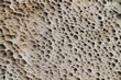 Sandstone texture