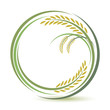 Rice design on white background