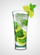 mojito cocktail
