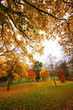 fall colors
