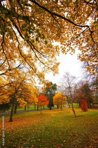 Photo: fall colors fall colors
