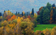 Soft Autumn Landscape