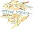 Word cloud for Animal training