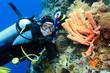 Photo: Scuba diver Scuba diver