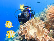 Photo: Scuba diver Scuba diver