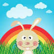 Rabbit with rainbow in the forest