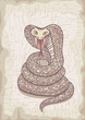 Vector Snake, Cobra