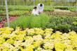 Two people in lab coats checking the plants