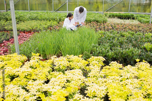 Photo: Two people in lab coats checking the plants Two people in lab coats checking the plants