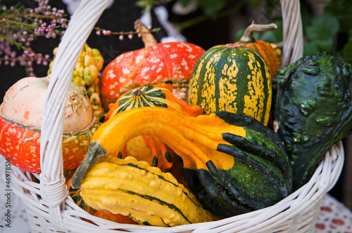 Photo: l pumpkins l pumpkins