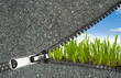 zipper overlooks the spring field