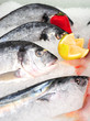 Fresh fish