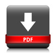 "PDF" Web Button (download save document internet upload search)