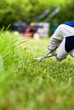 Cutting grass with nail scissors