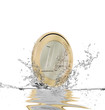 Euro