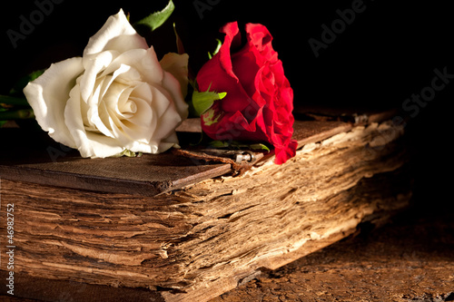 Photo: Flowers on antique book Flowers on antique book