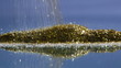Video: Gold dust Gold dust