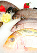 Fresh fish