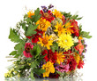 bouquet of beautiful summer flowers, isolated on white
