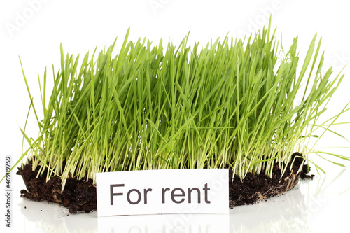 Photo: Green grass with ground as concept of land sale isolated Green grass with ground as concept of land sale isolated
