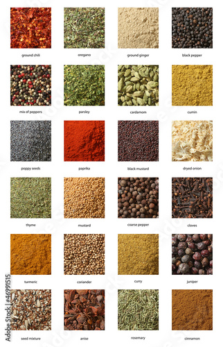 Photo: Different spices isolated on white background. Large Image Different spices isolated on white background. Large Image