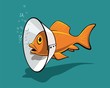 Vector: Fish collar Fish collar