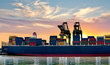 Cargo sea port. Sea cargo cranes.