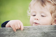 Photo: One year boy playing in the park portrait. One year boy playing in the park portrait.