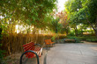 Foto: Chair and tree with sunshine Chair and tree with sunshine