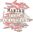 Word cloud for Marine fuel management