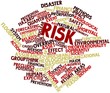 Word cloud for Risk