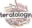 Word cloud for Teratology