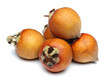 Medlar Fruit