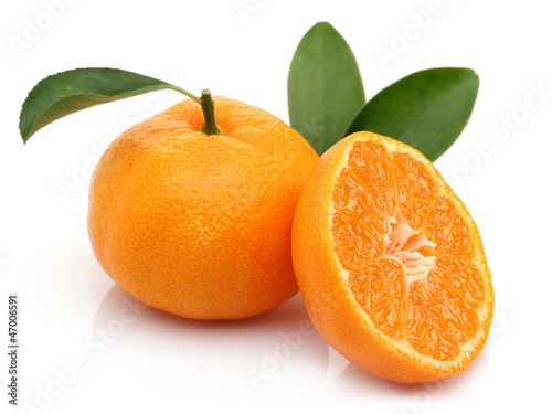 Photo: Tangerine Tangerine