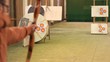 shooting arrows slow motion