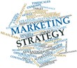 Word cloud for Marketing strategy