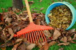 ramassage de feuilles mortes en automne