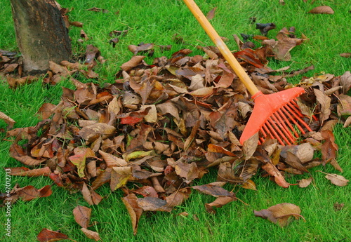 Photo: ramassage de feuilles mortes en automne ramassage de feuilles mortes en automne