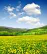 national park Sumava - Czech Republic