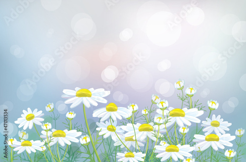 Vector: Vector of spring background Vector of spring background