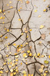 the fissured earth