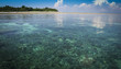 sipadan island coral reef sabah borneo
