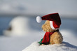 Santa Claus
